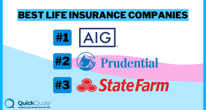 10 Best Life Insurance Companies in 2025 (Check Out These Providers ...