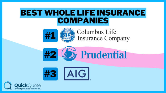 Companies That Offer Life Insurance 51 Percent Of The Life Insurance