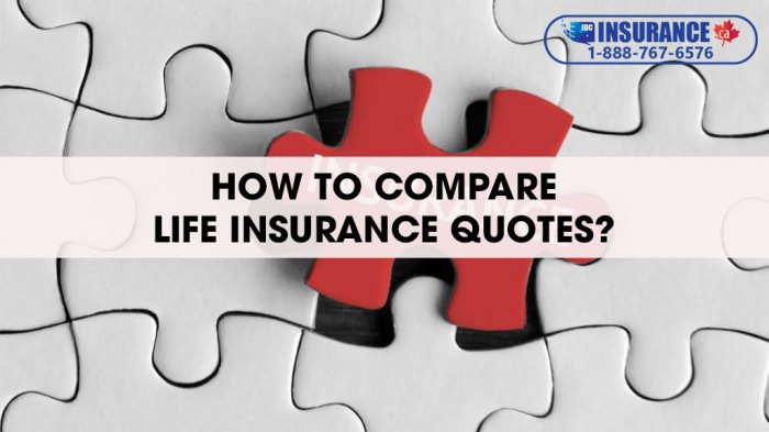 Compare Life Insurance Quotes Online - SMC Insurance