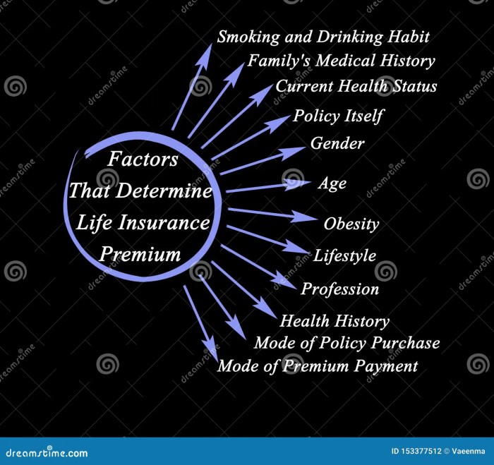 Life Insurance Guide to Policies and Companies